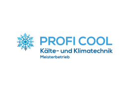 logo proficool